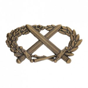 Brevet BMP Bronze